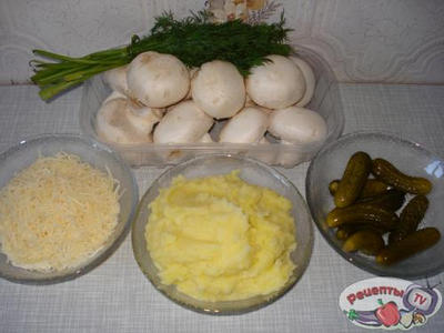 ���������� � �������� �� ������������� ����