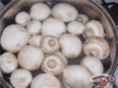 ���������� � ������� (�������)