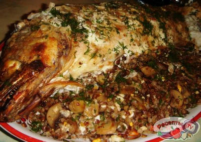 ����� ���������� � ��������