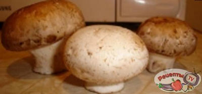 ������ �������, ������� � ������ ��� ���������