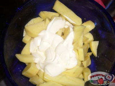 ������� � ����������