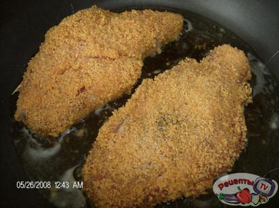 ������ ��������