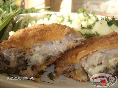 ������ ��������