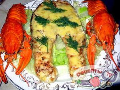 Ѹ�����!!!!