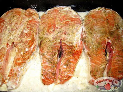 Ѹ�����!!!!