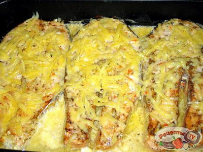 Ѹ�����!!!!