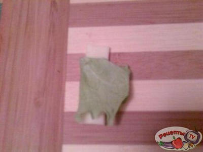 �������� Saltinbocca