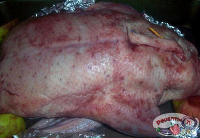 ���� � �������� � � ����� �� �������� ����