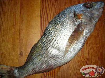 �������������� ����������