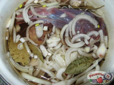 ���� � �������