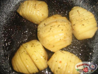 ������ Ekzo