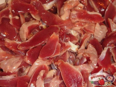 ������ �� ����������