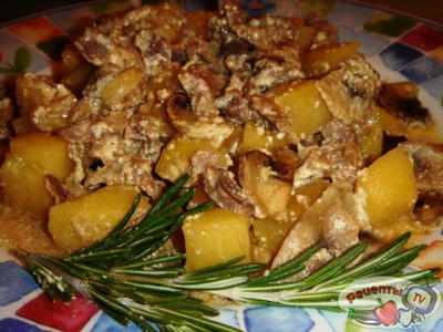 ������ �� ����������