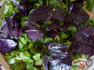 ������ � ���������� � �������� ������