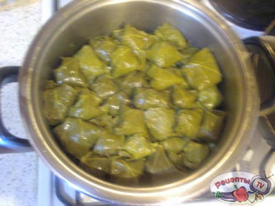 ����� � ������������ ��������� (��� �������)