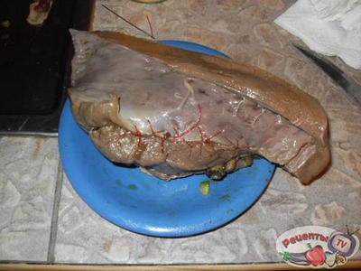 ������������� ������