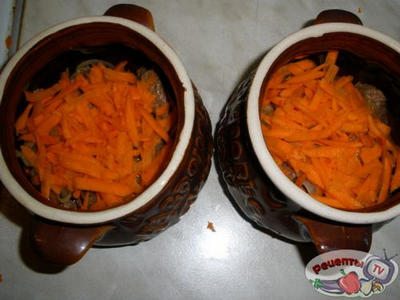 �������� � ���� � �����������