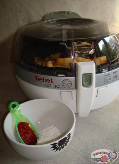 ���� ��-�������������, �������������� � �������� ���������� Tefal~ActiFry.
