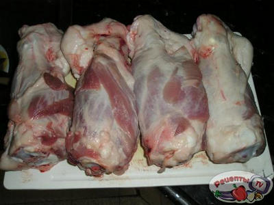 ������ � ������