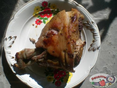 ������ ������