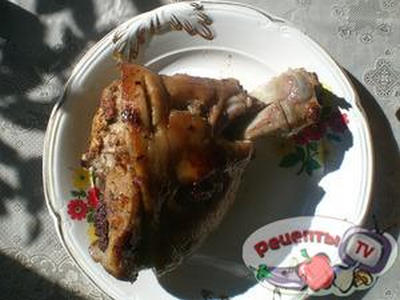 ������ ������