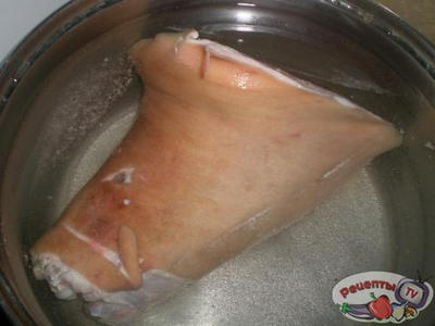 ������ ������