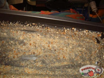 ������� � ������ � ������ ������ � �����-�aconos sert?sh?s sajtsz?sszal ?zgerinc form?ban