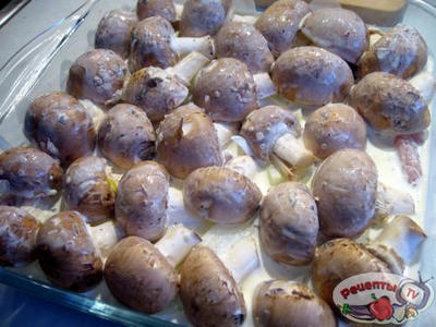 ������ �������, ���������� � ������� ��� ��������� ��������� ������