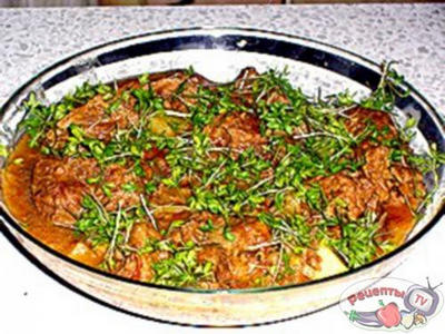 �������� � ����� � �����������