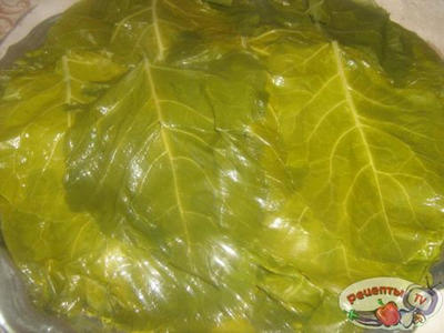 ����� (������� ��-����������)