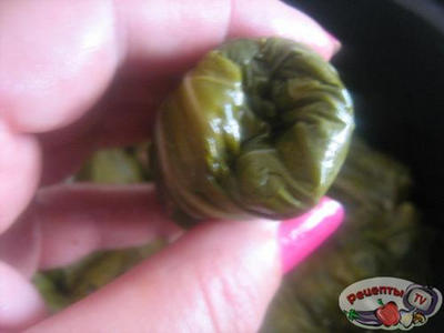 ����� (������� ��-����������)