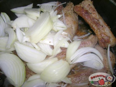 ������� ���� � ������ �������� � ���������