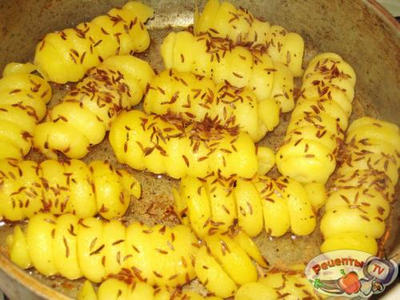 ������ ������� � ������������� ��������� � �����-������� ������