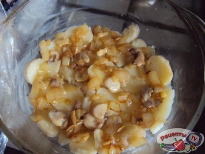 ������������ ��������� � �������