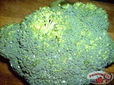 ������� ��������,���������� � �������,�������� � �������