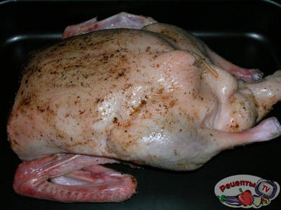 �������������� ���� � ������������ �����