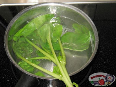 �������� � ������� � �������� � ����������� ����� ��� &laquo;���������� �-��-���&raquo;