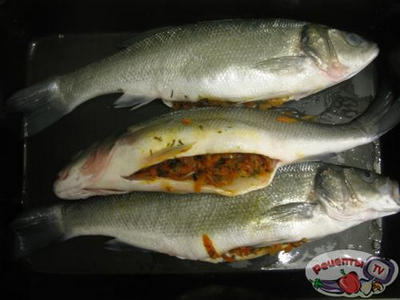 ������������� ������� ����