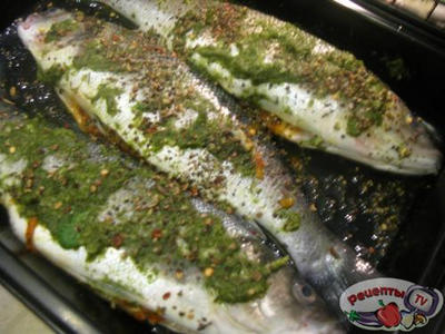 ������������� ������� ����