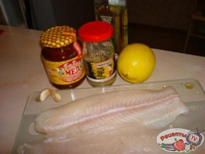 ���� ����� ���� � ��������-������� ��������