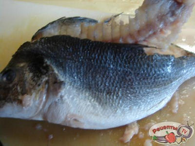 ���� ������, ���������� � ����� � ���������� �������.