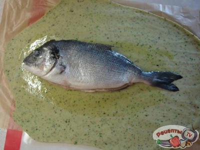 ���� ������, ���������� � ����� � ���������� �������.