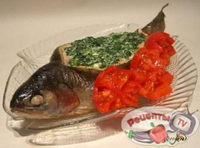 ������, ������������� �������� � ��������� �����