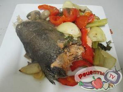 ������ ��� �������