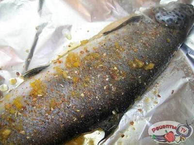 ������ ���������� � ���������� �������