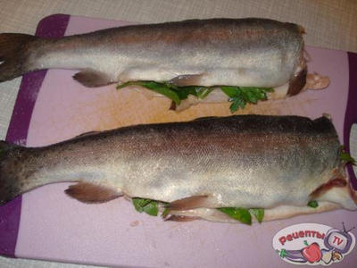 ������ ������� �� �������� � ��������