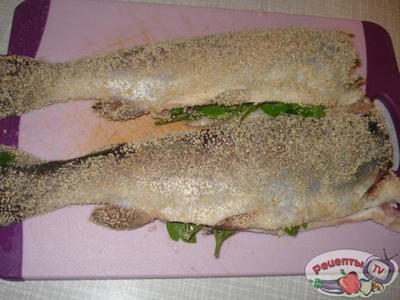 ������ ������� �� �������� � ��������