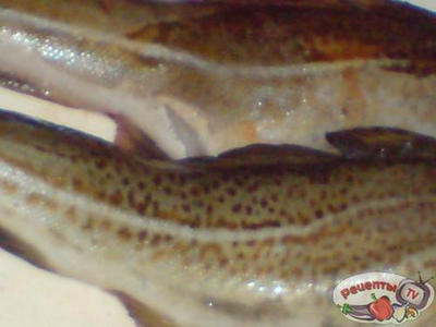 ����������� �� ������