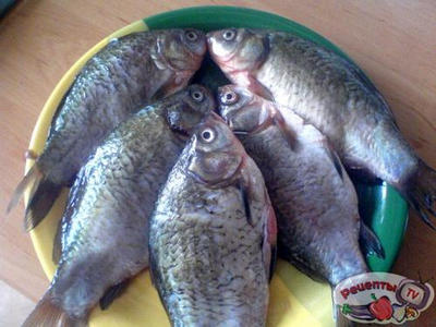 ������ � ������� � ����������