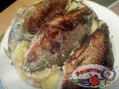 ������ � ������� � ����������